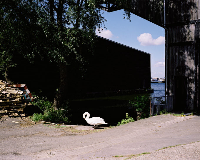 Tom Janssen